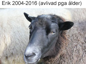 Erik 2004-20017.jpg